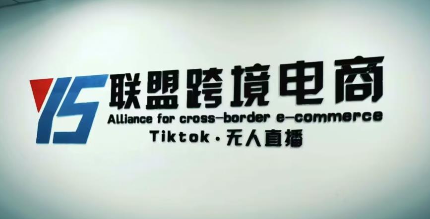 YS联盟·Tiktok无人直播，不出镜不剪辑不拍摄不发货无售后的跨境短视频躺赚玩法-佛系网创