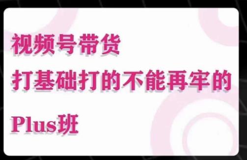 大播汇·视频号带货Puls班，视频号底层逻辑，起号自然流鱼塘等玩法-佛系网创