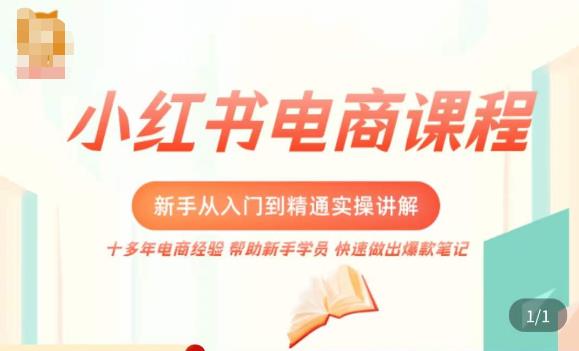 小红书电商新手入门到精通实操课，从入门到精通做爆款笔记，开店运营-佛系网创
