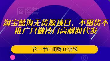 淘宝蓝海无货源项目，不囤货不推广只做冷门高利润代发，花一半时间赚10倍钱-佛系网创