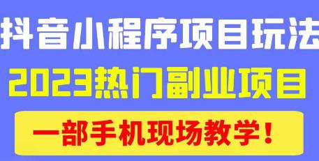 抖音小程序9.0新技巧，2023热门副业项目，动动手指轻松变现-佛系网创