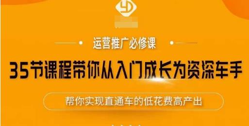 35节课程带你从入门成长为资深车手，让系统学习直通车成为可能，帮你实现直通车的低花费高产出-佛系网创