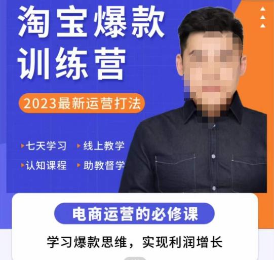 爱上黄昏·淘宝爆款训练营，2023最新运营打法，学习爆款思维，实现利润增长-佛系网创