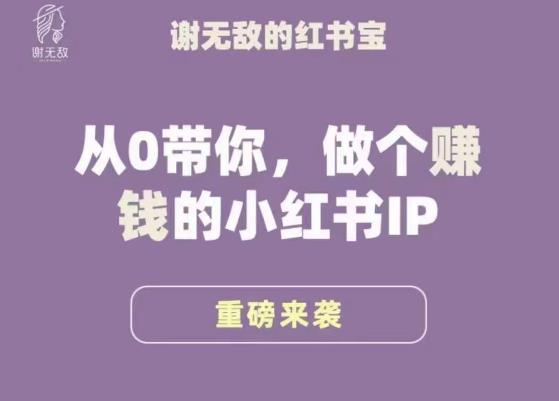谢无敌·小红书运营大宝典，从0带你做个赚钱的小红书IP-佛系网创