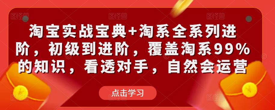 淘宝实战宝典+淘系全系列进阶，初级到进阶，覆盖淘系99%的知识，看透对手，自然会运营-佛系网创
