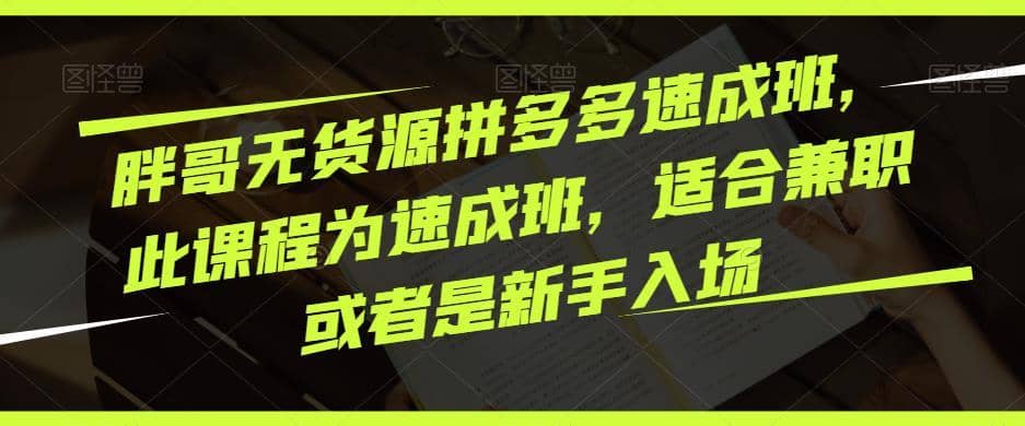 胖哥无货源拼多多速成班，此课程为速成班，适合兼职或者是新手入场-佛系网创