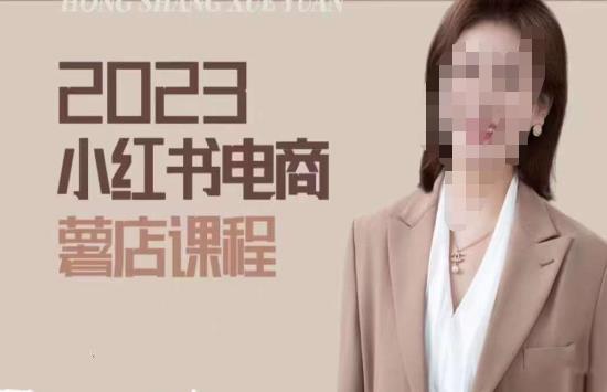 2023小红书电商课，新手小白从0~1玩转小红书薯店电商-佛系网创