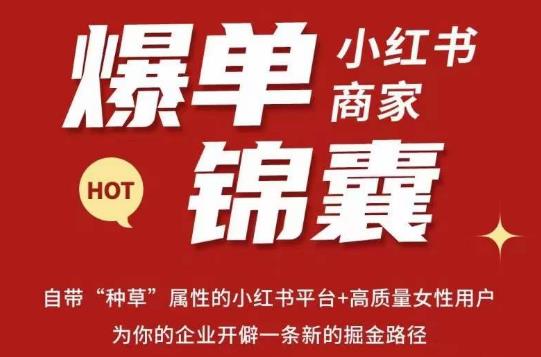 无畏·小红书商家爆单锦囊，掌握小红书各大规则，快速精准抢占行业和市场-佛系网创