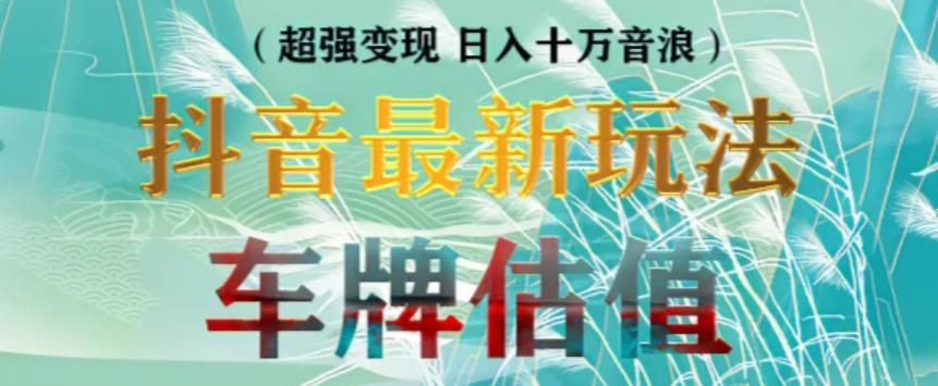 抖音最新无人直播变现直播车牌估值玩法项目，轻松日赚几百+【详细玩法教程】-佛系网创