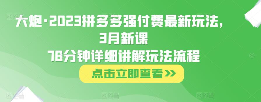 大炮·2023拼多多强付费最新玩法，3月新课?78分钟详细讲解玩法流程-佛系网创