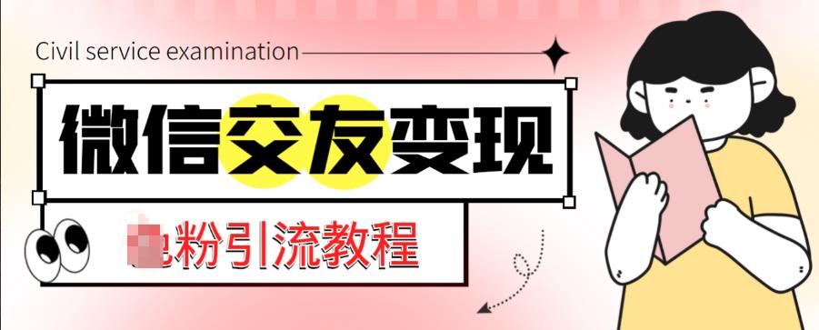 微信交友变现项目，吸引全网LSP男粉精准变现，小白也能轻松上手，日入500+-佛系网创