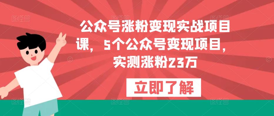 公众号涨粉变现实战项目课，5个公众号变现项目，实测涨粉23万-佛系网创
