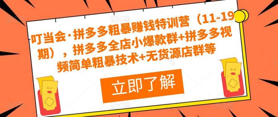 叮当会·拼多多粗暴赚钱特训营（11-19期），拼多多全店小爆款群+拼多多视频简单粗暴技术+无货源店群等-佛系网创