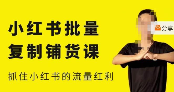 张宾·小红书批量复制铺货课，小红书0-1快速起号变现玩法，抓住小红书的流量红利（更新2023年3月）-佛系网创