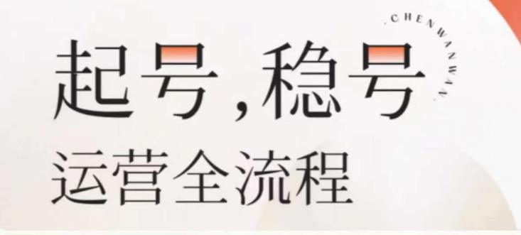 婉婉-起号稳号运营全流程，解决从小白到进阶所有运营知识，帮助解决账号所有运营难题-佛系网创