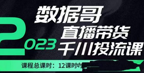 数据哥2023直播电商巨量千川付费投流实操课，快速掌握直播带货运营投放策略-佛系网创
