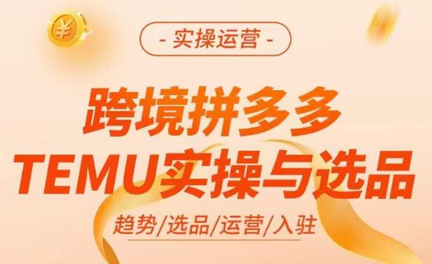 跨境拼多多TEMU实操与选品，?掌握平台运营方法技巧，选品避坑12条标准，爆款的底层思路等-佛系网创