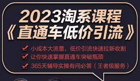 2023直通车低价引流玩法课程，小成本大流量，低价引流快速拉新收割，让你快速掌握直通车突破瓶颈-佛系网创