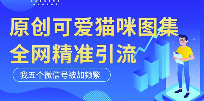 黑科技纯原创可爱猫咪图片，全网精准引流，实操5个VX号被加频繁-佛系网创