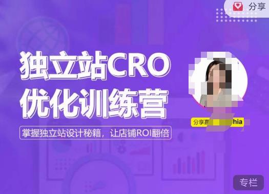 独立站CRO优化训练营，掌握独立站设计秘籍，打造高转化的独立站，让店铺ROI翻倍-佛系网创