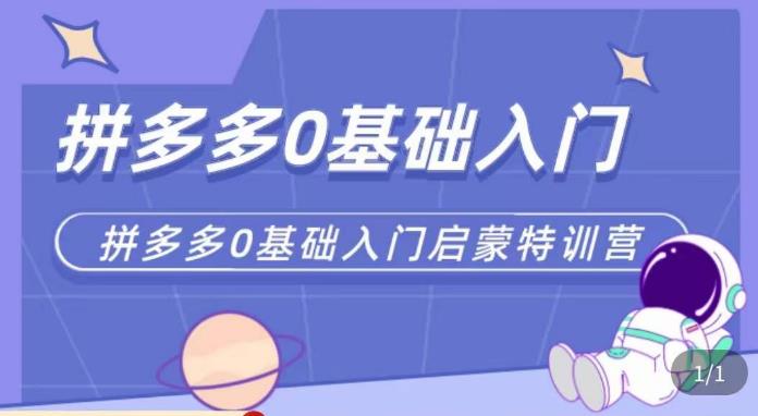 六一电商·拼多多运营0-1实操特训营，拼多多从基础到进阶的可实操玩法-佛系网创