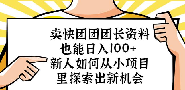 卖快团团团长资料也能日入100+新人如何从小项目里探索出新机会-佛系网创
