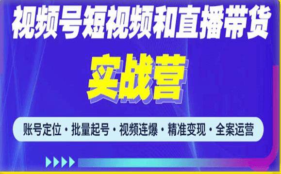 2023最新微信视频号引流和变现全套运营实战课程，小白也能玩转视频号短视频和直播运营-佛系网创