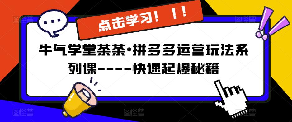 牛气学堂茶茶?拼多多运营玩法系列课—-快速起爆秘籍-佛系网创