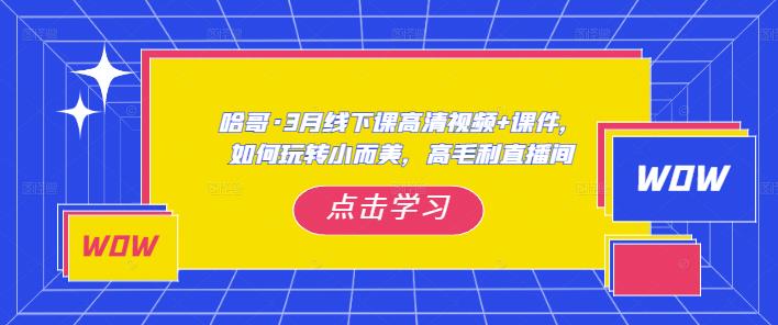 哈哥·3月线下实操课高清视频+课件，如何玩转小而美，高毛利直播间-佛系网创