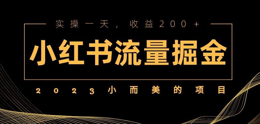 2023小而美的项目，小红书流量掘金，实操一天，收益200+【揭秘】-佛系网创