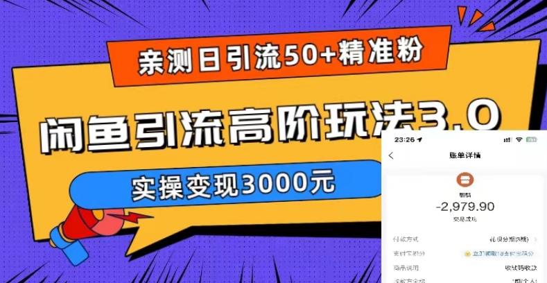 亲测日引50+精准粉，闲鱼引流高阶玩法3.0，实操变现3000元【揭秘】-佛系网创