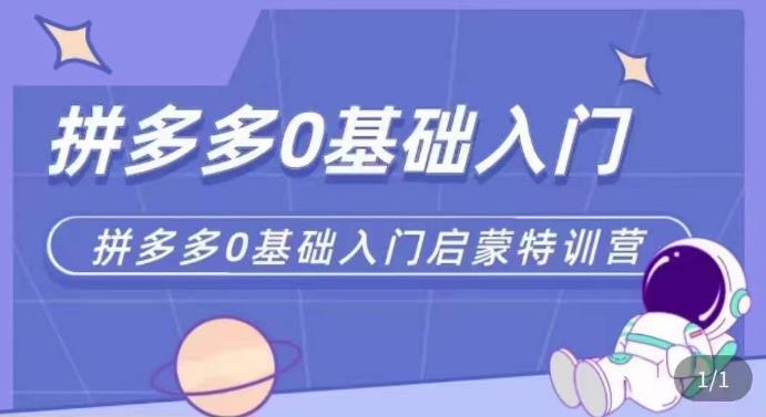 拼多多运营0-1实操特训营，拼多多0基础入门，从基础到进阶的可实操玩法-佛系网创