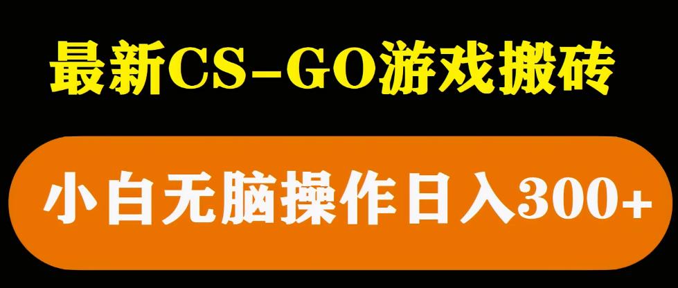 最新csgo游戏搬砖游戏，无需挂机小白无脑也能日入300+-佛系网创