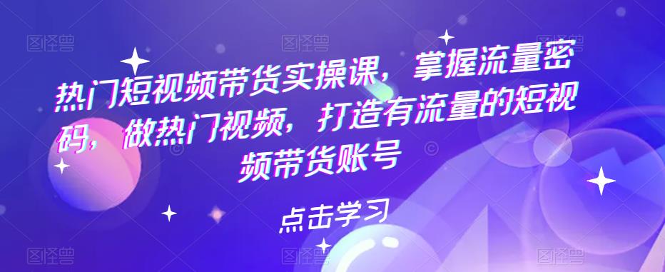 热门短视频带货实操课，掌握流量密码，做热门视频，打造有流量的短视频带货账号-佛系网创