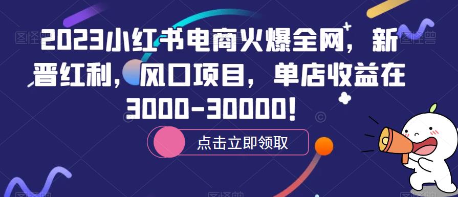 2023小红书电商火爆全网，新晋红利，风口项目，单店收益在3000-30000！-佛系网创