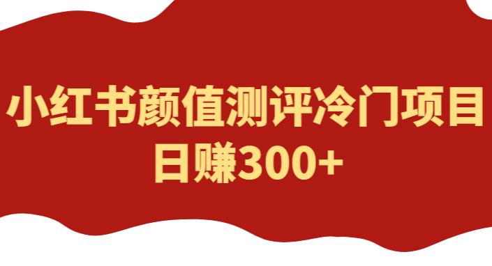 外面1980的项目，小红书颜值测评冷门项目，日赚300+【揭秘】-佛系网创
