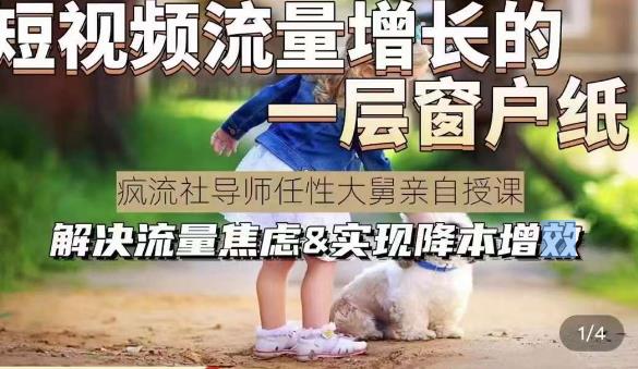 任性大舅·宠物行业短视频运营课(不讲废话)，短视频流量增长的一层窗户纸，解决流量焦虑&实现降本增效-佛系网创