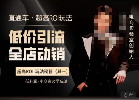 电商冰可乐·直通车·《低价引流·全店动销》，直通车·超高ROI玩法（其一）全店动销必学玩法-佛系网创