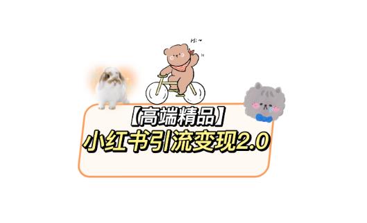 小红书最新引流变现教程，全网最新最详细的视频教程以及素材-佛系网创