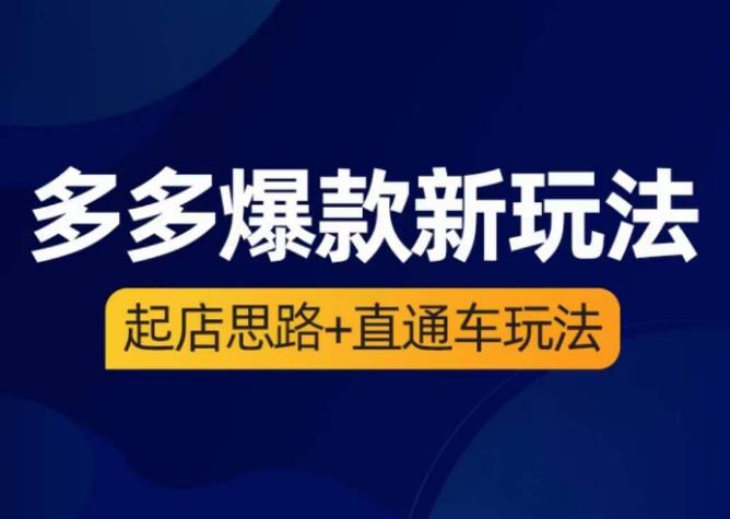 海神·多多爆款新玩法，?起店思路+直通车玩法（3节精华课）-佛系网创