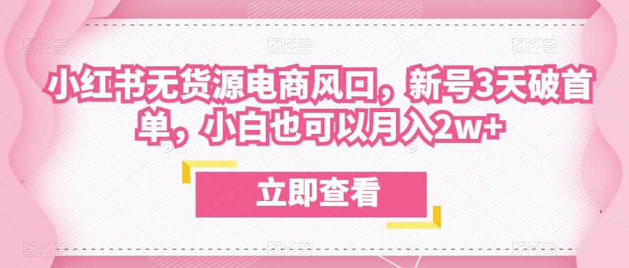 众狼电商余文小红书无货源电商风口，新号3天破首单，小白也可以月入2w+-佛系网创