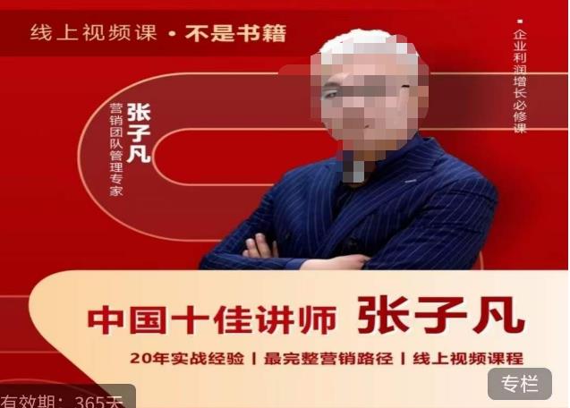 张子凡·20年实战经验，揭秘营销背后的底层逻辑，突破思维局限，从根本上破解营销难题-佛系网创