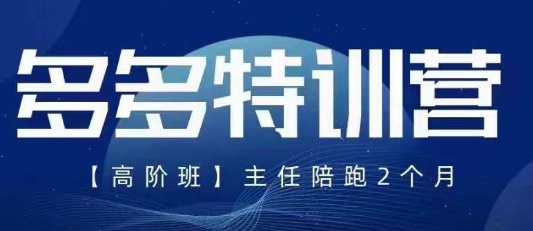 纪主任·5月最新多多特训营高阶班，玩法落地实操，多多全掌握-佛系网创