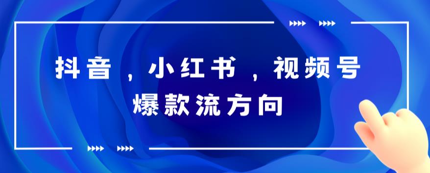 抖音，小红书，视频号爆款流视频制作，简单制作掌握流量密码-佛系网创