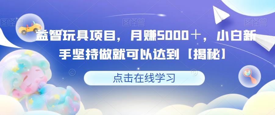 益智玩具项目，月赚5000＋，小白新手坚持做就可以达到【揭秘】-佛系网创