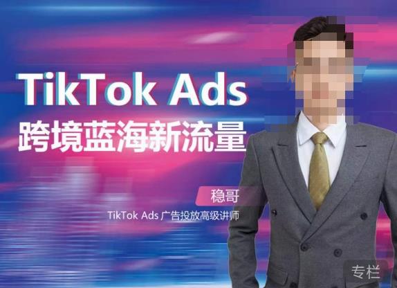 稳哥·如何投出高ROI的TikTok广告，开拓独立站卖家流量新蓝海-佛系网创
