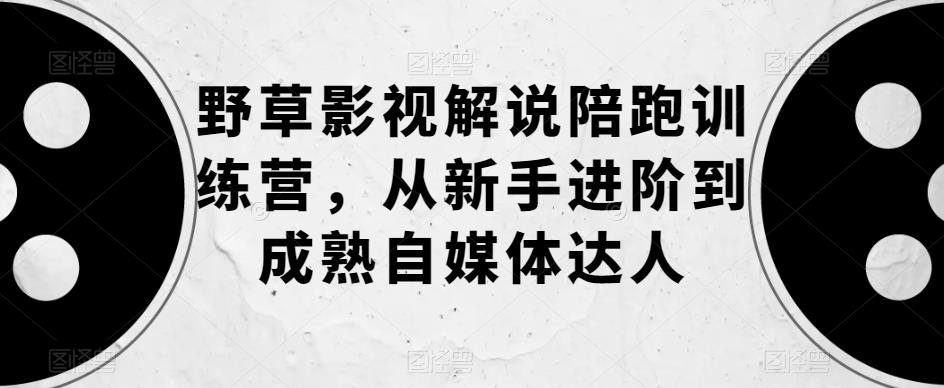 野草影视解说陪跑训练营，从新手进阶到成熟自媒体达人-佛系网创