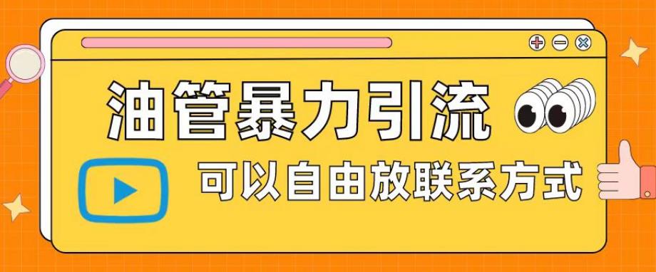 油管暴力引流，可以自由放联系方式【揭秘】-佛系网创