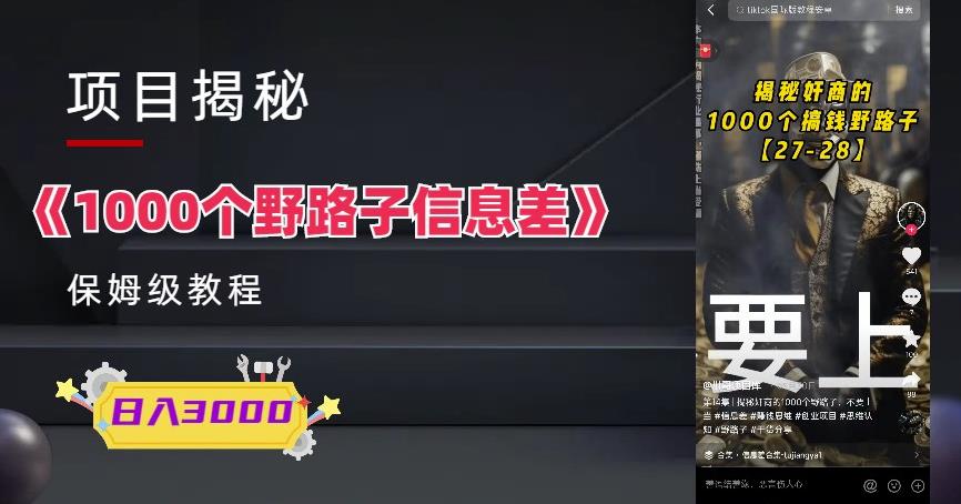 1000个野路子信息差保姆式教程-单日变现3000+的玩法解密-佛系网创