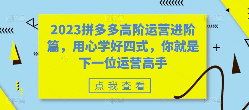 2023拼多多高阶运营进阶篇，用心学好四式，你就是下一位运营高手-佛系网创